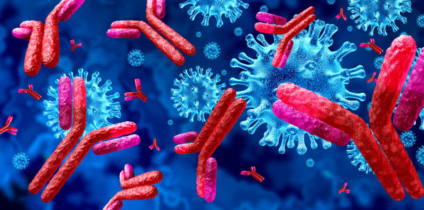 Immunologie – Système immunitaire EUROLAB
